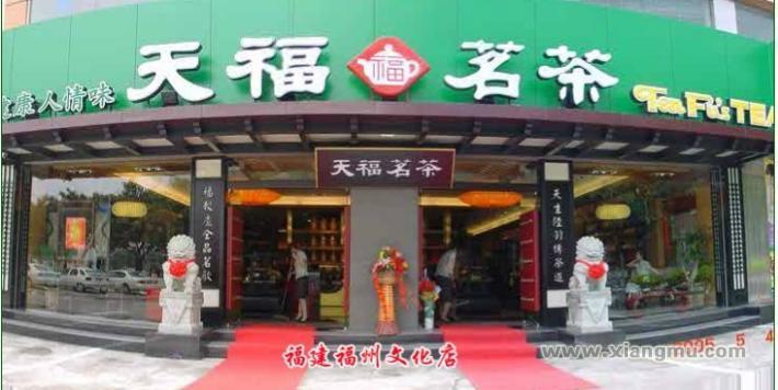 茶叶加盟品牌排行榜前10名及加盟选择指南
